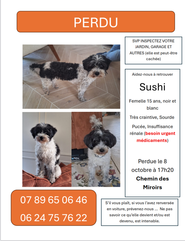 SUSHI